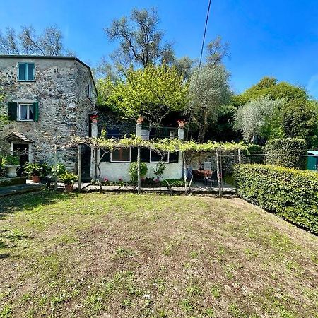 Lobster Cottage Apartment レヴァント エクステリア 写真
